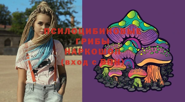 мдпв Арсеньев